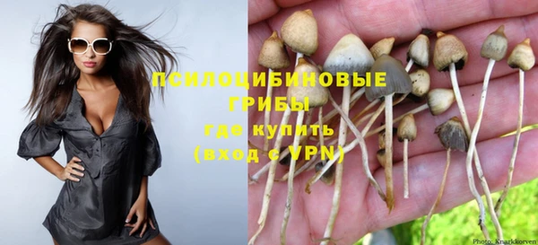 кокаин перу Богданович