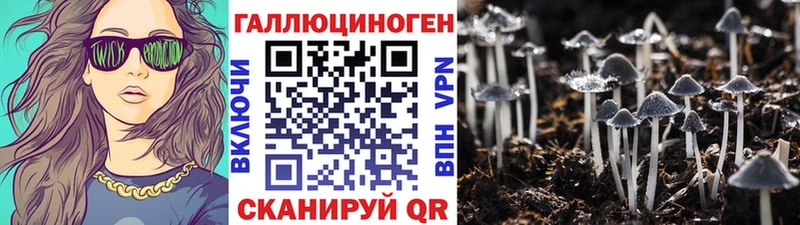 купить наркоту  Киренск  Псилоцибиновые грибы прущие грибы 
