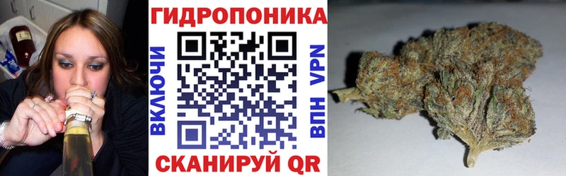 купить наркоту  Киренск  блэк спрут сайт  Шишки марихуана конопля 